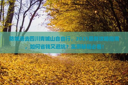 防城港去四川青城山自由行