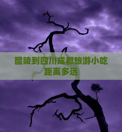 醴陵到四川成都旅游小吃