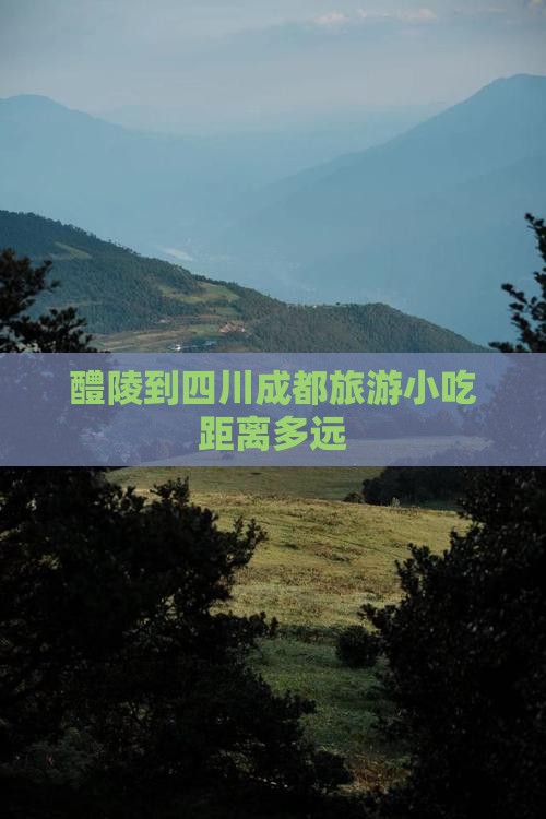 醴陵到四川成都旅游小吃