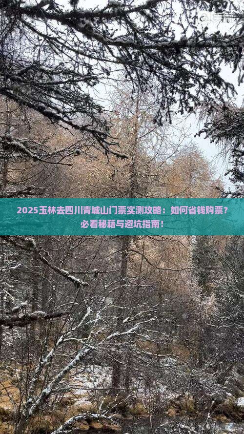 玉林去四川青城山门票
