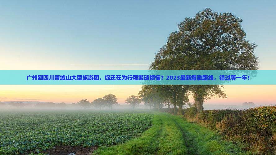 广州到四川青城山大型旅游团