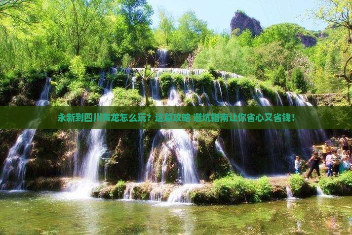 永新到四川黄龙旅行社