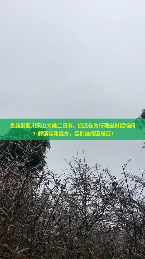 阜新到四川乐山大佛二日游