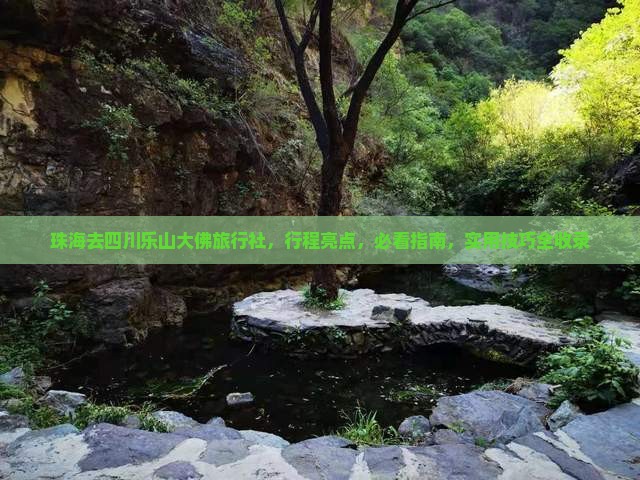 珠海去四川乐山大佛旅行社