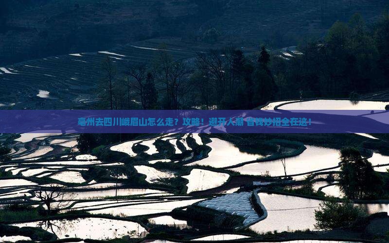 亳州去四川峨眉山攻略