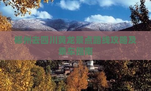 郴州去四川黄龙景点