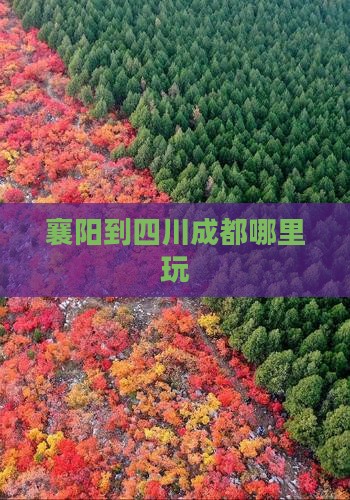 襄阳到四川成都哪里玩