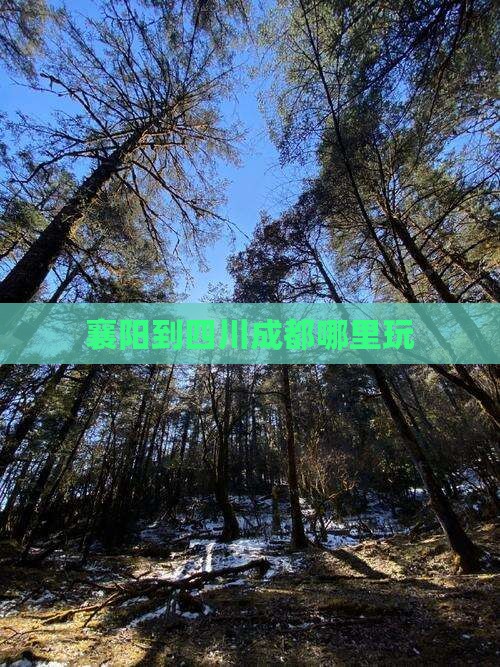 襄阳到四川成都哪里玩