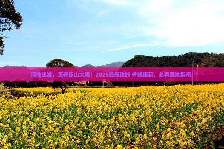 河池到四川乐山大佛哪里玩