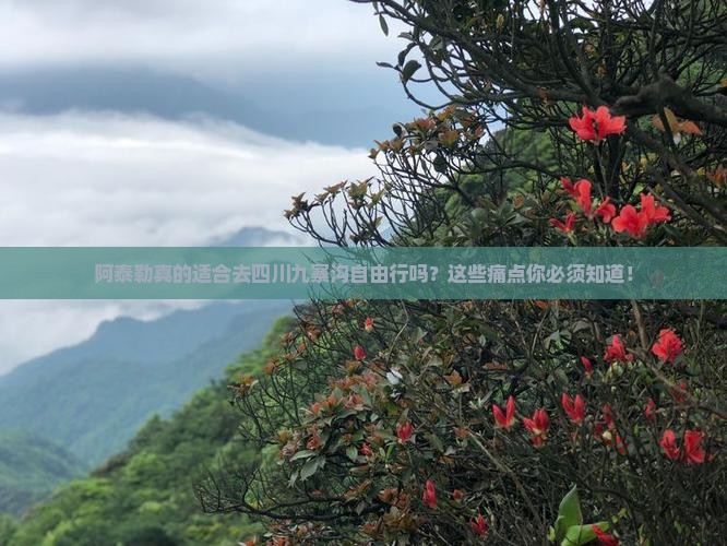 阿泰勒去四川九寨沟自由行