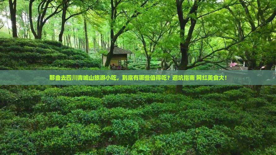 那曲去四川青城山旅游小吃