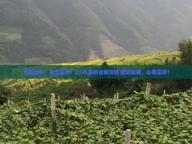资阳去四川成都旅行社