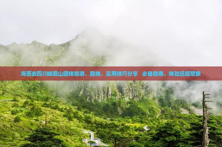 海西去四川峨眉山团体旅游