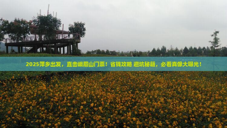 萍乡到四川峨眉山门票