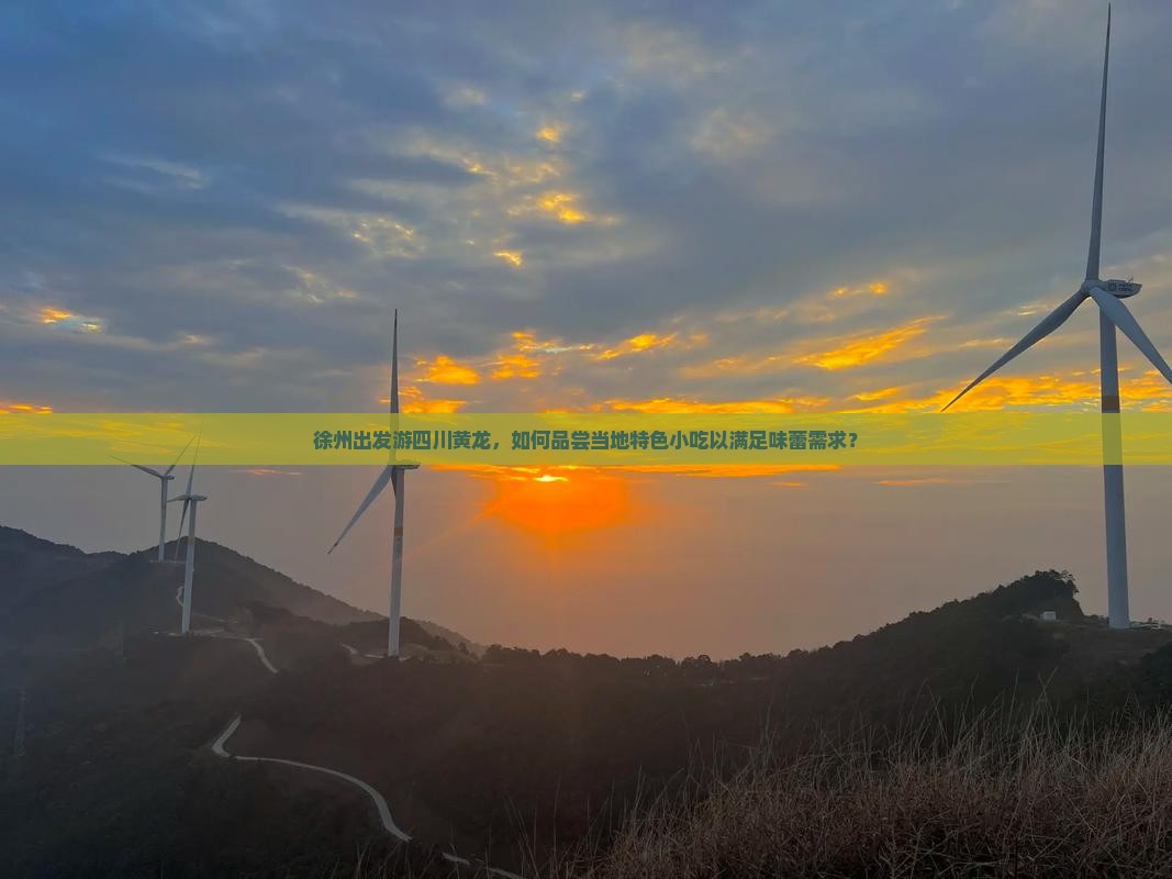 徐州出发游四川黄龙，如何品尝当地特色小吃以满足味蕾需求？