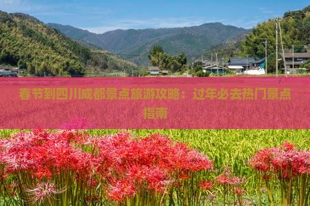 春节到四川成都景点旅游攻略：过年必去热门景点指南