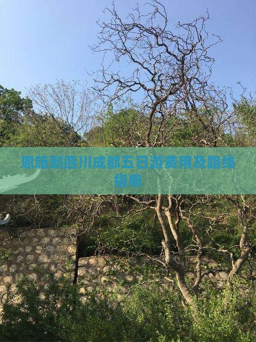 恩施到四川成都五日游费用及路线指南
