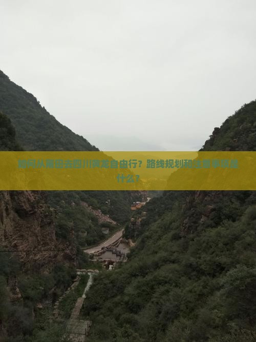 如何从莆田去四川黄龙自由行？路线规划和注意事项是什么？