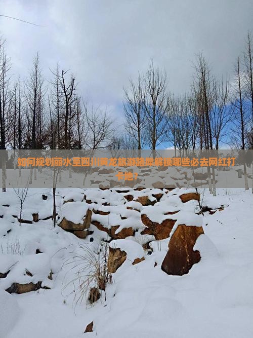 如何规划丽水至四川黄龙旅游路犀解锁哪些必去网红打卡地？
