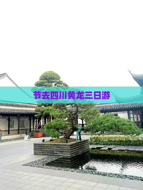 节去四川黄龙三日游
