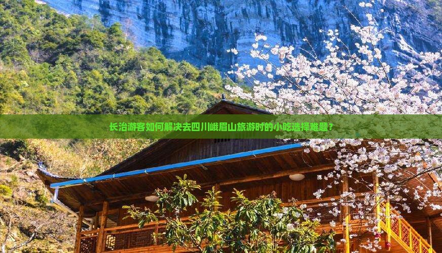 长治游客如何解决去四川峨眉山旅游时的小吃选择难题？