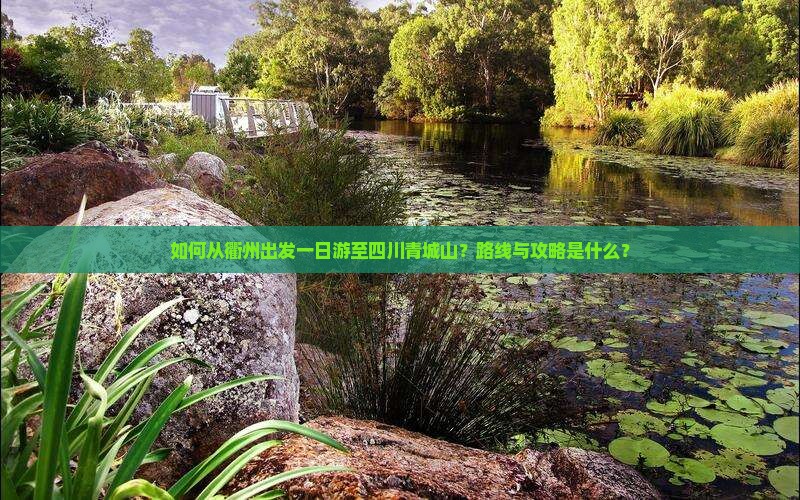 如何从衢州出发一日游至四川青城山？路线与攻略是什么？