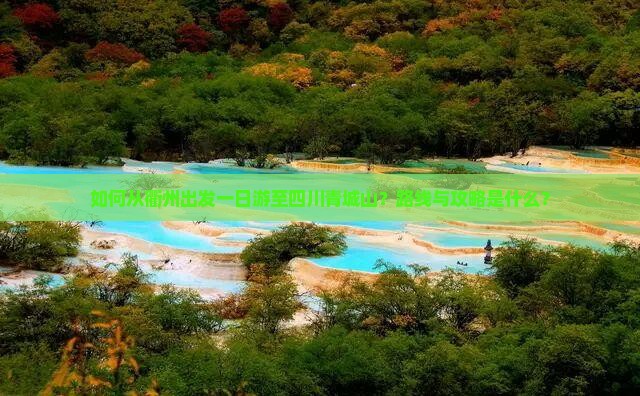 如何从衢州出发一日游至四川青城山？路线与攻略是什么？