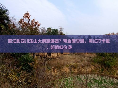 湛江到四川乐山大佛旅游团？带全陪导游，网红打卡地，超值低价游