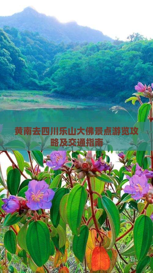 黄南去四川乐山大佛景点游览攻略及交通指南