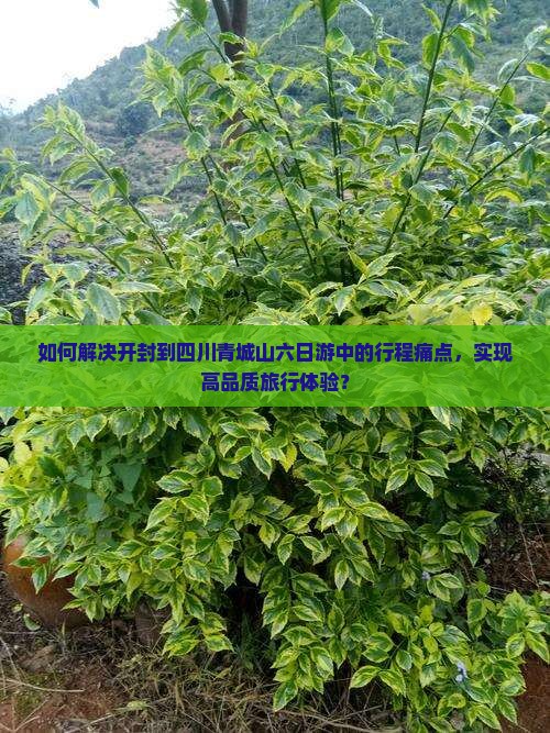 如何解决开封到四川青城山六日游中的行程痛点，实现高品质旅行体验？