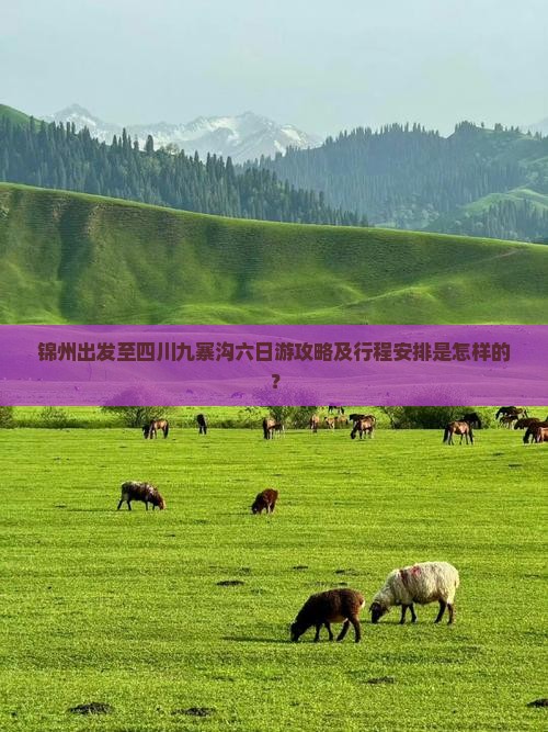 锦州出发至四川九寨沟六日游攻略及行程安排是怎样的？