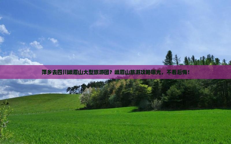 萍乡去四川峨眉山大型旅游团？峨眉山旅游攻略曝光，不看后悔！