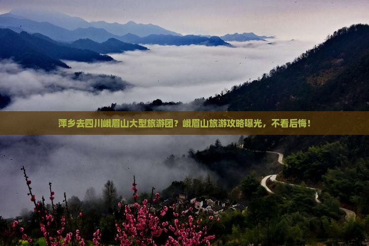 萍乡去四川峨眉山大型旅游团？峨眉山旅游攻略曝光，不看后悔！