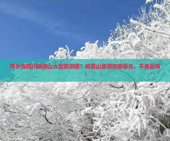 萍乡去四川峨眉山大型旅游团？峨眉山旅游攻略曝光，不看后悔！