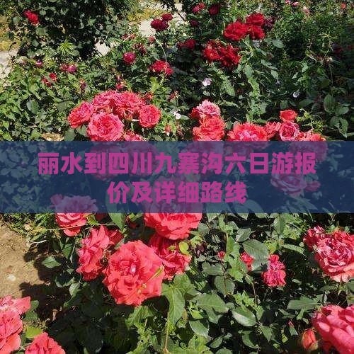 丽水到四川九寨沟六日游报价及详细路线