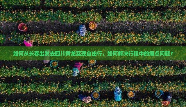 如何从长春出发去四川黄龙实现自由行，如何解决行程中的痛点问题？
