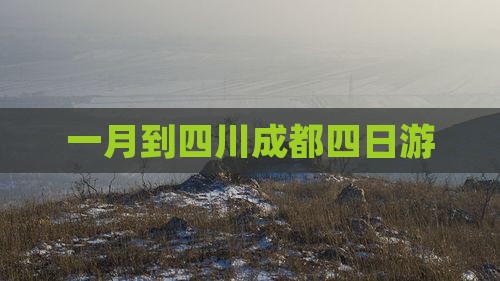 一月到四川成都四日游