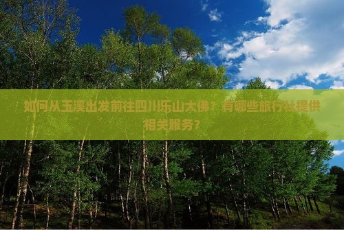 如何从玉溪出发前往四川乐山大佛？有哪些旅行社提供相关服务？