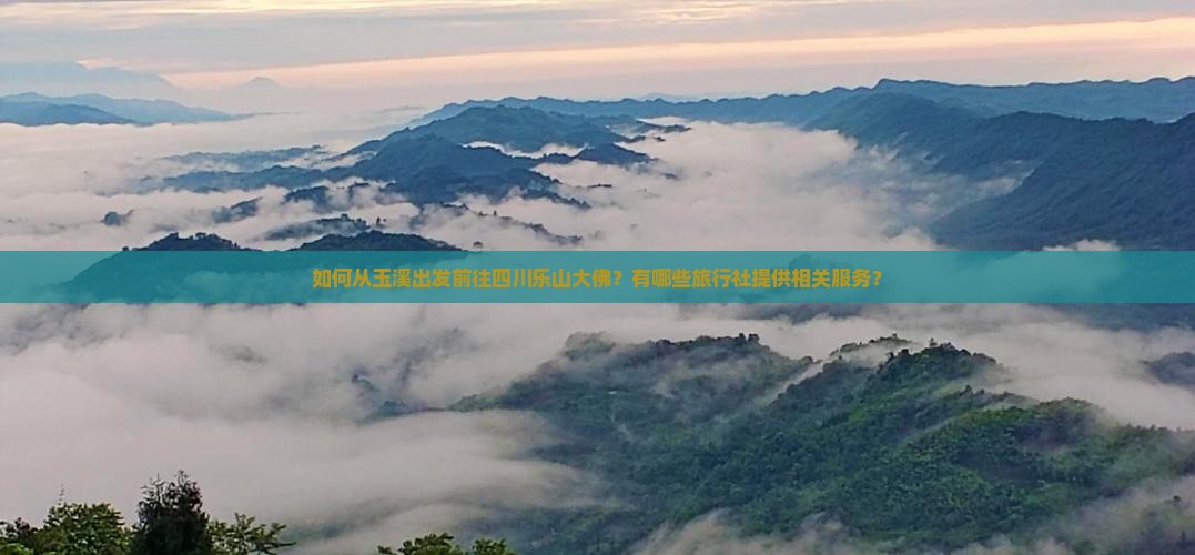 如何从玉溪出发前往四川乐山大佛？有哪些旅行社提供相关服务？