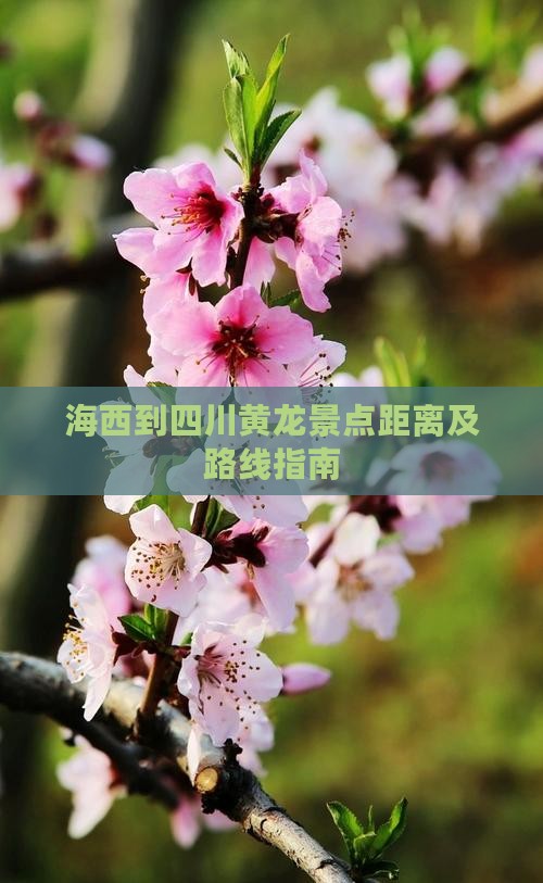 海西到四川黄龙景点距离及路线指南