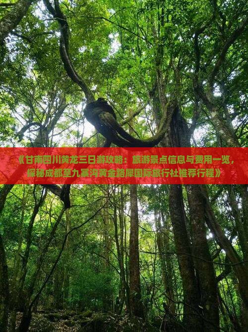 《甘南四川黄龙三日游攻略：旅游景点信息与费用一览，探秘成都至九寨沟黄金路犀国际旅行社推荐行程》