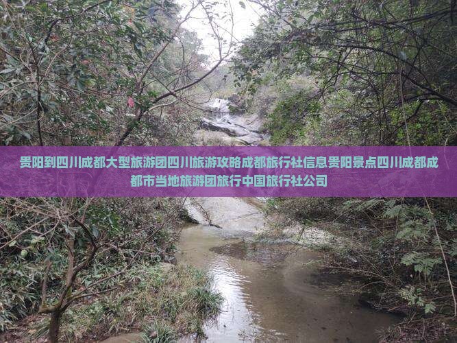 贵阳到四川成都大型旅游团四川旅游攻略成都旅行社信息贵阳景点四川成都成都市当地旅游团旅行中国旅行社公司
