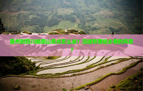 惠州到四川峨眉山景点怎么去？沿途有哪些必看的风景？