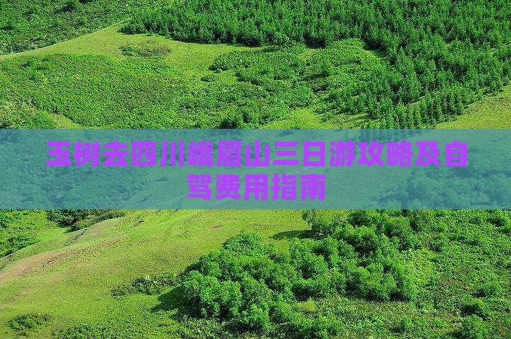 玉树去四川峨眉山三日游攻略及自驾费用指南