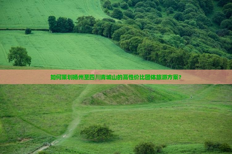 如何策划扬州至四川青城山的高性价比团体旅游方案？