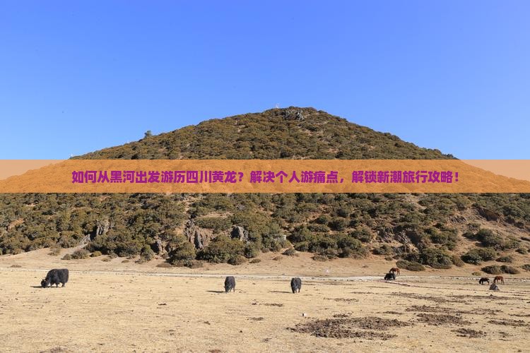 如何从黑河出发游历四川黄龙？解决个人游痛点，解锁新潮旅行攻略！