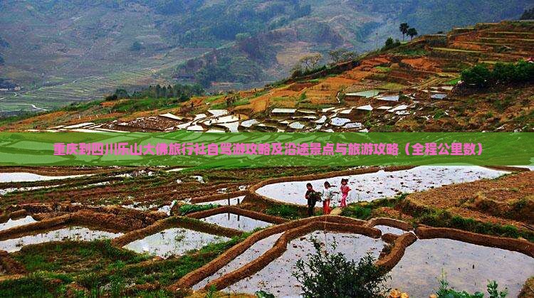 重庆到四川乐山大佛旅行社自驾游攻略及沿途景点与旅游攻略（全程公里数）