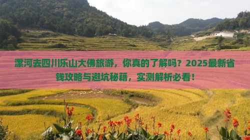 漯河去四川乐山大佛旅游