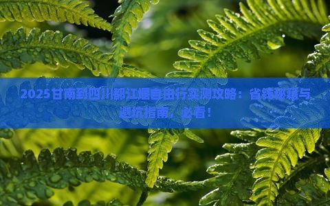 甘南到四川都江堰自由团