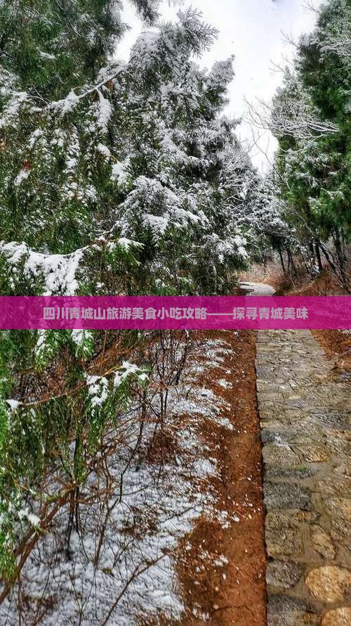 凉山去四川青城山旅游小吃